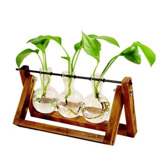 Conjunto Vaso Vidro Bulbo Com Suporte De Madeira Duplo