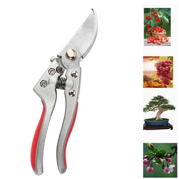 Tesoura Profissional Para Poda Tipo Japones Lhj-v9 Sk5