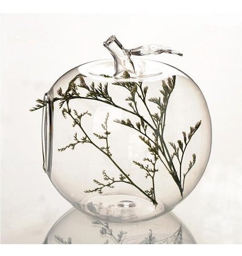 Vaso De Vidro Maçã De Parede Terrário Plantas 10 Cm