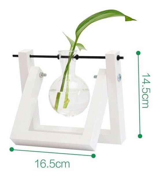 Vaso De Vidro Bulbo Plantador Com Suporte De Madeira