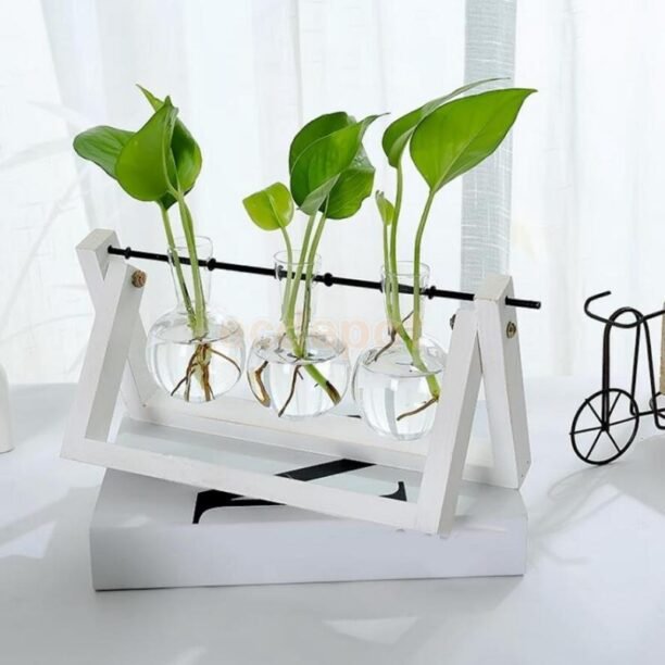 Vaso De Vidro Bulbo Plantador Com Suporte De Madeira