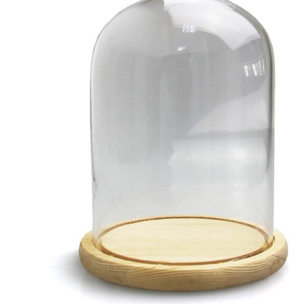 Redoma De Vidro Coração Vaso Presente Bolinha 12x15cm