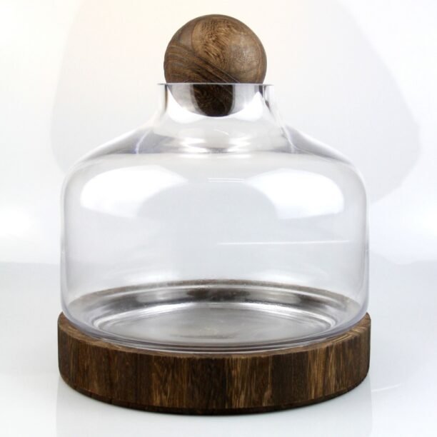 Vaso De Vidro Base Madeira Terrário Suculentas Cactos
