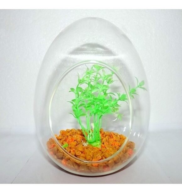 Vaso De Vidro P/decoração Ornamentais Suculentas