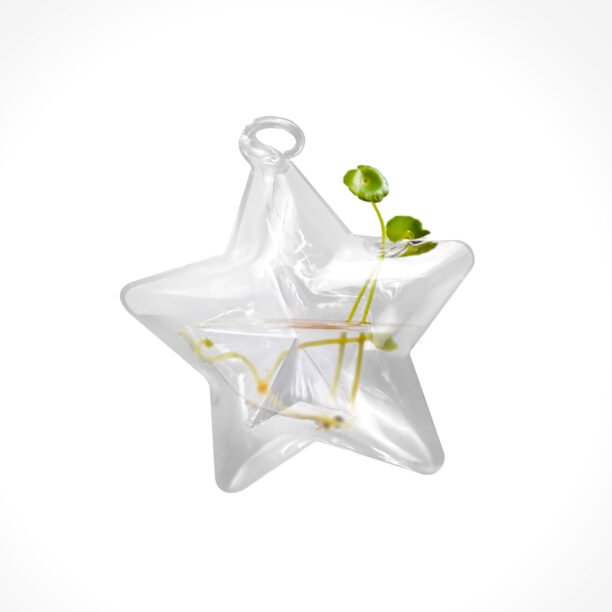 Vaso De Vidro P/ Água Estrela