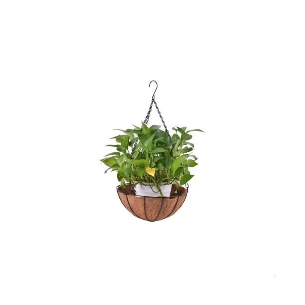 Vaso Pendurar 40cm Pendente Ferro Fibra Coco