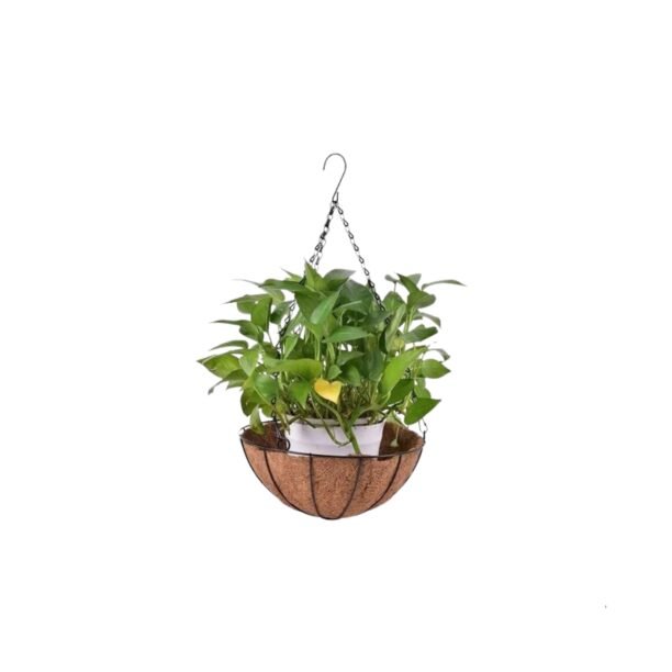 Vaso Pendurar 30cm Pendente Ferro Fibra Coco