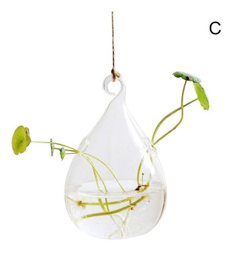 Vaso De Planta Hidropônica Desktop Vidro Transparente