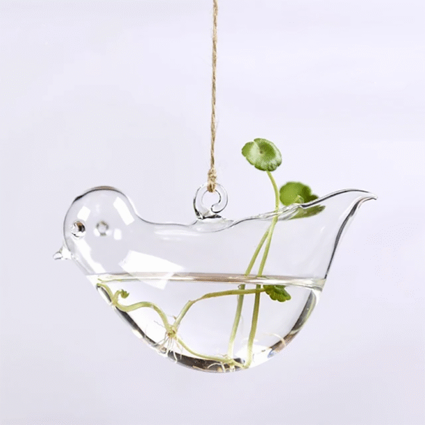 Vaso Suspenso Pássaro Vidro Transparente Decoraçã