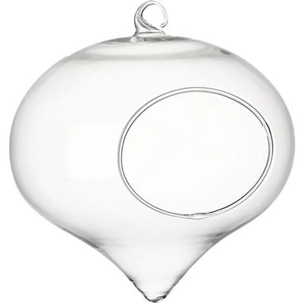 Vaso De Vidro Pendurado Terrário Vasos Flor Planta