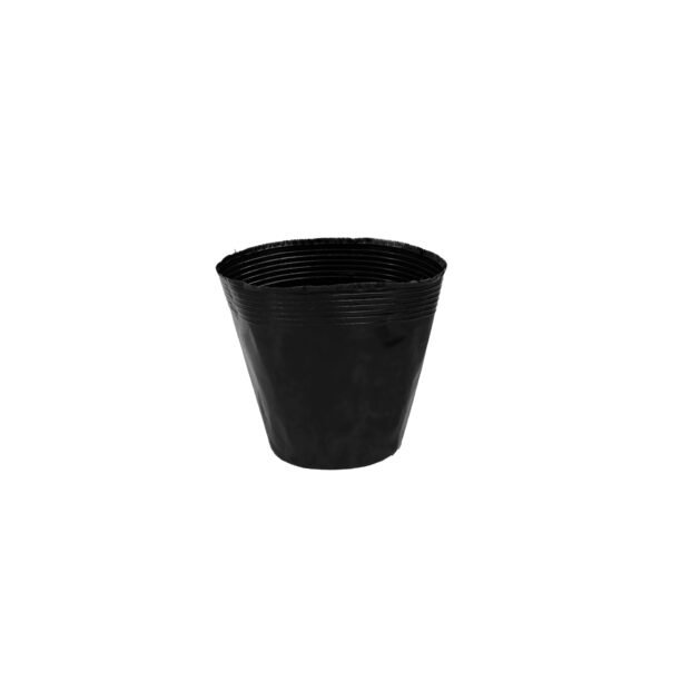 Saco Plástico 21*21-2,5L