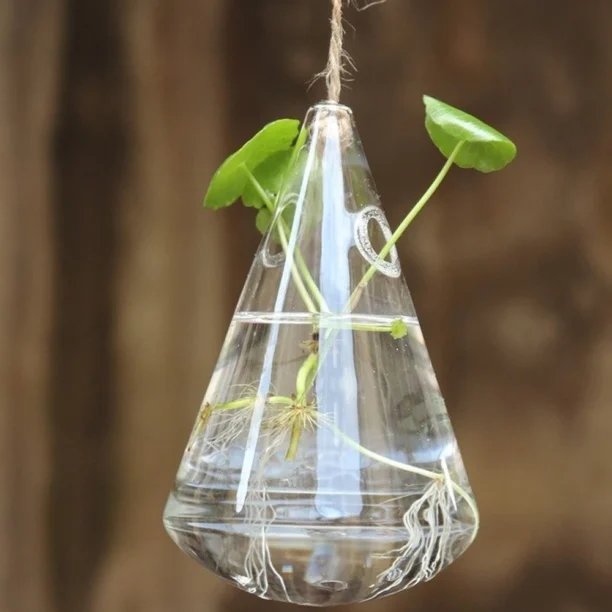 Gota De Água Pendurada Em Forma De Vidro Hidroponia