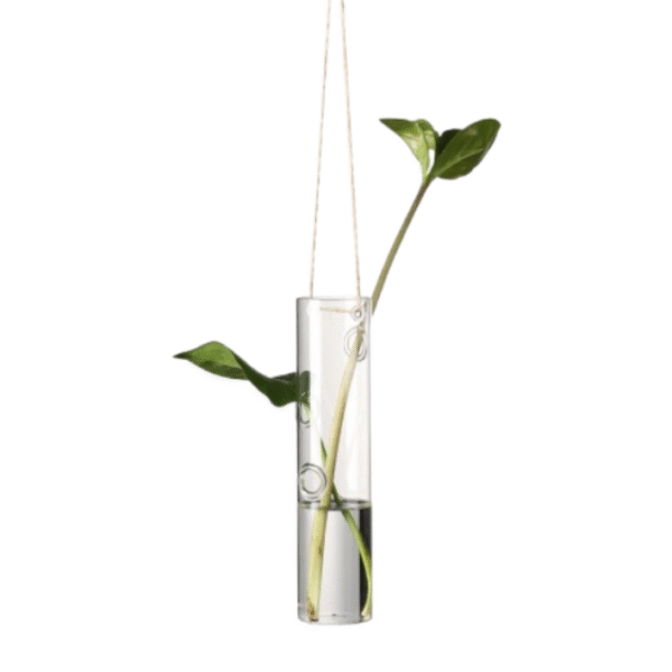 Vidro Para Terrário Vaso De Vidro Cilindrico Pendurar
